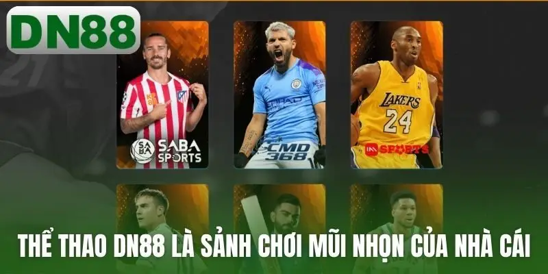 Thể thao DN88 là sảnh chơi mũi nhọn của nhà cái